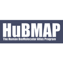 HuBMAP